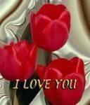 rebecca2kd, Alabaster, , United States