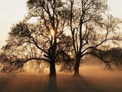 Be11e, Los Angeles, , United States