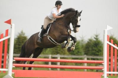 Equus, Abbotsford, , Kanada