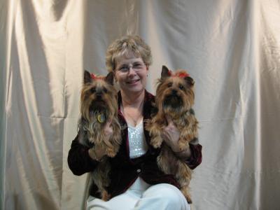 loveyorkies911, Sioux City, , United States