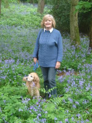 freelance, Gloucester, , United Kingdom