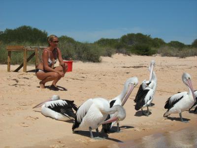 Legsy, Perth, , Australia